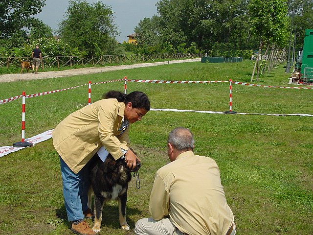 Immagine 075.jpg